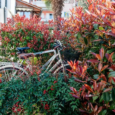 Apartment Lili Poreč